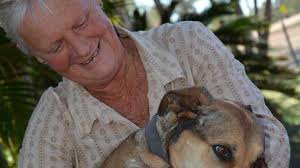 Blackened stumps reveal true extent of Queensland drought