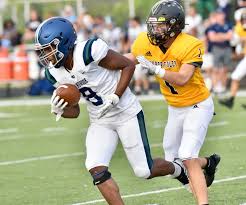 Hometown Life's best Michigan high school football photos from Week 4