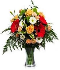 Opting for international flower delivery service is a new way to send flowers to new zealand. New Zealand Flowers Delivery Send Flowers To New Zealand New Zealand Online Florist Yaoflowers Com