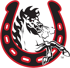 1960 — george mcmahon was elected president of the stamps and, soon after, plans for a new stadium were announced and construction began. Calgary Stampeders Vehicle Logo Cfl Sticker Sports Mem Cards Fan Shop Football Cfl Romeinformation It