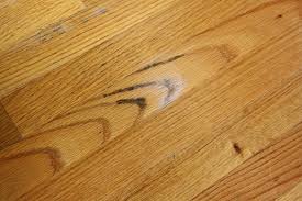 It appears white or light gray, like a coating of unsettled dust. How To Clean Mold From A Wood Floor 4 Steps Instructables
