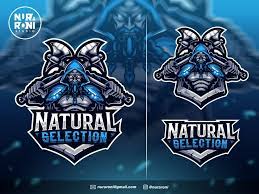Viking Mascot Logo Viking Logo King Logo Mascot