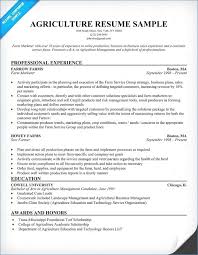 How to Compose A Resume Beautiful Resume Writing Help New Free ...