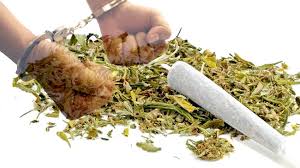Gambar denah, gambar potongan denah merupakan salah satu bagian terpenting dari suatu gambar konstruksi. 4 Pelaku Narkoba Jenis Ganja Diringkus Polres Pasaman Sumbartime Com