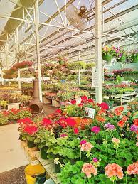 B B Barns Of Asheville In 2021 Garden Center Garden Inspiration Garden