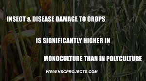 The lack of crop rotation and thus nutrients in the soil poses its own set of problems that are cause to move away from monoculture agriculture as. Insect And Disease Damage To Crops Is Significantly Higher In Monoculture Than In Polyculture