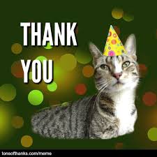 51 Nice Thank You Memes With Cats Thank You Memes Thank You Cat Meme Cat Memes