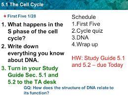 The stages of the cell cycle get their names from early studies of cell division. 5 1 The Cell Cycle First Five 2 1 1 Based On Your Current Knowledge A Why Do We Always Have To Cut Our Hair Our Fingernails And The Lawn B Why Are Ppt Download