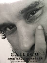 Guillermo Rebollo Gil reseña la poesía de Gallego (Puerto Rico)