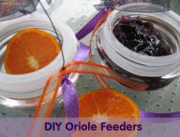Orioles are a little on the shy side and might not feel comfortable. Diy Oriole Feeders Who Needs A Cape