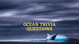 He loves any type of game … 200 Ocean Trivia Questions Everyone Asks Trivia Qq
