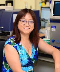 Meet the PI » Dr. Donna Zhang Lab » The Wertheim UF Scripps ...