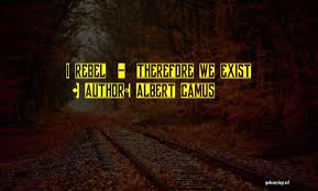 Top 27 Camus The Rebel Quotes Sayings