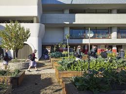 Mount Alvernia College M3architecture Archinect Green Building Architecture Details Landscape Design