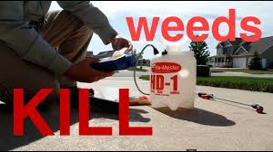 In this video, i'm using a m. How To Kill Weeds In The Lawn Spraying Weeds Youtube