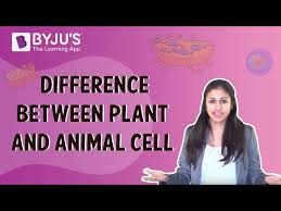 We did not find results for: Difference Between Plant And Animal Cell Are Explained In Detail