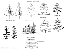 Evergreen trees , when chopped down, give normal logs. Drawing Evergreen Trees On Schema Tree Drawing Christmas Tree Drawing Trees Drawing Tutorial