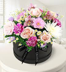 Maybe you would like to learn more about one of these? Wild Flowers Hatbox