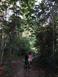 Length3.9 kmelevation gain229 mroute typeloop. The Trail Picture Of Setia Alam Community Trail Shah Alam Tripadvisor