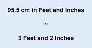95 5 Cm In Feet And Inches Converter And Formula