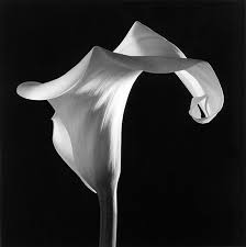 What Robert Mapplethorpe's mother called Patti Smith | Photography ...