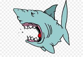 Kita belajar tentang ikan hiu yuk? 630 Gambar Ikan Hiu Kartun Png Hd Terbaru Gambar Hewan