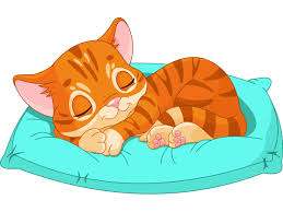 Download the free graphic resources in the form of png, eps, ai or psd. Sleepy Cat Sleeping Kitten Kitten Cartoon Cat Character