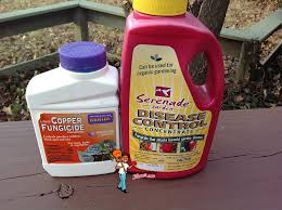 What is the best fungicide for tomato ? 2 Effective Fungicides For Organic Tomato Gardening