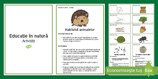 Uneori, poti avea si de doua ori pe luna. EducaÈ›ie In NaturÄƒ BroÈ™urÄƒ Cu ActivitÄƒÈ›i