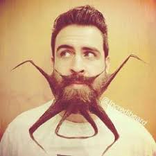 See more ideas about beard styles, beard, funny beard memes. 34 Weird Funny Beard Styles Ideas Beard Styles Beard Funny Beard Memes