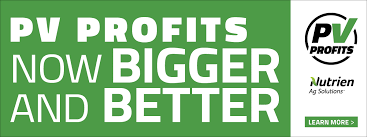 نتیجه جستجوی لغت [proven] در گوگل