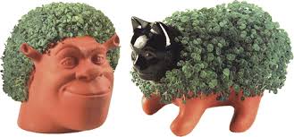 Full article: 34. Chia