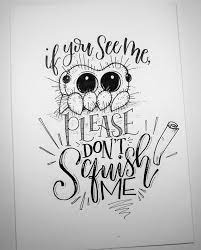 Lucas the spider is the most musical spider in the world and is an artist too? Pin On Quotes Porn