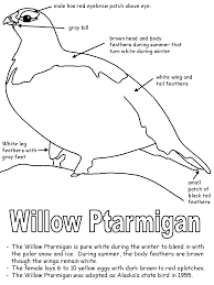 Below are printable bird coloring pages of songbirds, passerines (perching birds) and nonpasserine species. Willow Ptarmigan With Labels