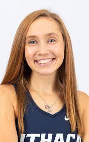 Newfield Town Board talks solar projects and climate plans