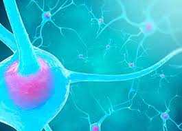 Three had severe weakness and an axonal pattern on. Syndrome De Guillain Barre Symptomes Diagnostic Traitement