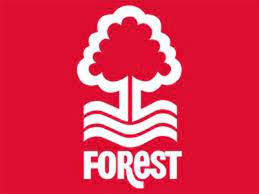 Huddersfield town vs nottingham forest | english league championship (self.nffc). Nottingham Forest Logo Neon Everything