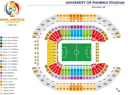 financial accessibility soccer politics the politics of