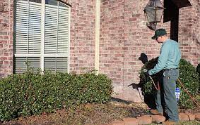 12 february at 05:20 ·. Home Pest Control In Beaumont Tx Bill Clark Pest Control