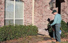 Barfield home inspections & pest control, pllc serving beaumont texas and surrounding areas texas real estate commission professional real barfield home inspections & pest control, pllc believes there are ten important questions you should have answered before you select your home. Home Pest Control In Beaumont Tx Bill Clark Pest Control