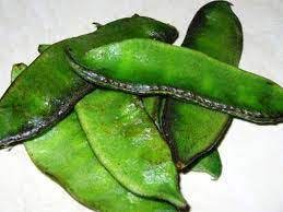 Chiefly a native of north africa, southwest. Fresh Broad Beans Buy Fresh Broad Beans In Tiruchirappalli Tamil Nadu India