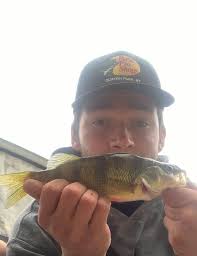 Off the grub they fight hard