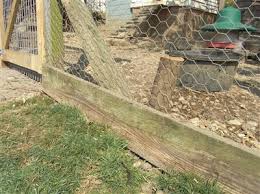 Chicken wire for the garden can be very useful. Chicken Fencing Keeping Chickens A Beginners Guide