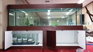 Terjual Pusat Jasa Pem Buat An Design Aquarium Kaca Kolam Taman Profesional Indonesia Kaskus