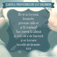Acest semn este folosit (printre altele) pentru a lega doua sau mai multe cuvinte care se pronunta impreuna si se foloseste cand vreti sa uniti un pronume de un verb. Du Te La FurnicÄ LeneÈule Cristofori Ro