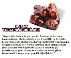 Nese Nin Gozdeleri Saglikli Beslenme Dogal Saglik Saglikli