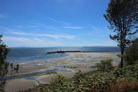 low tide what youll find explore white rock