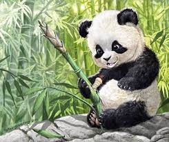 Sep 18, 2019 · realistic panda drawing sketch hanging on the tree, try it now. Cute Baby Panda Drawing Realistic Novocom Top