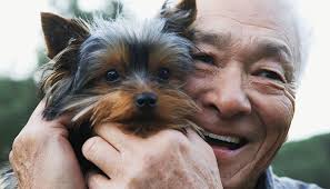 How your cancer can affect your pets