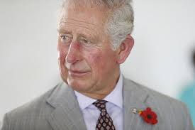 Prince Harry & Prince William: Prince Charles made sons go litter-picking 